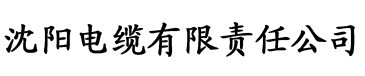 www.91app电缆厂logo